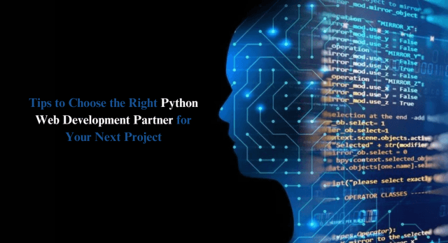 Tips to Choose the Right Python Web Development Partner for Your Next Project